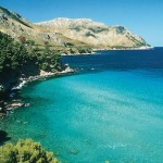 canarie 3