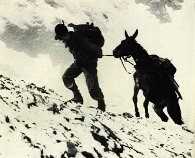 Meglio ALPINI o VESCOVI?