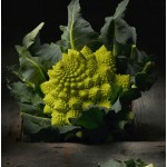 Gioiello-della-natura-1-Natures-jewel-1