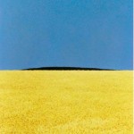 franco_fontana_baudoin_lebon_14430
