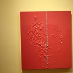 IMG_0127