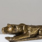 50147_Foto Il Giaguaro Alfredo Lucifero-696×385