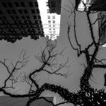Daniela Pungitore – NYC CONTEST