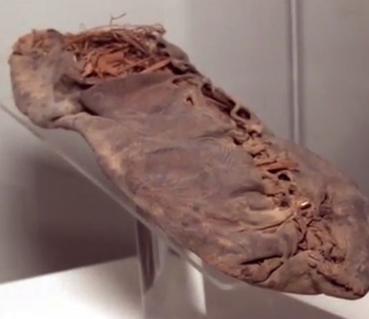 Quando 5000 anni fa Oetzi indossava la pelle Quando 5000 anni fa Oetzi indossava la pelle