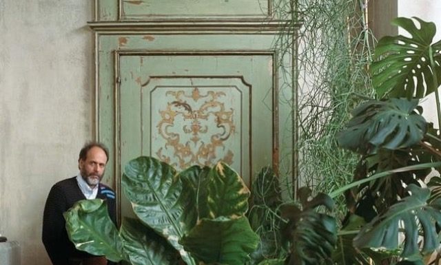 Luca Guadagnino, il David, Dario Argento e una serie tv Luca Guadagnino, il David, Dario Argento e una serie tv