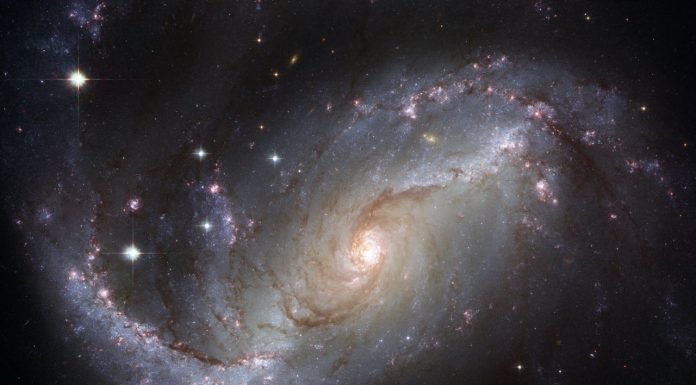 Torna Dimensione Cosmica, la rivista italiana di narrativa dell’immaginario Torna Dimensione Cosmica, la rivista italiana di narrativa dell’immaginario