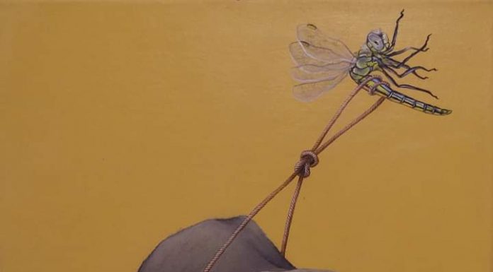 Sonia Vinaccia, istantanee dipinte di un sogno Sonia Vinaccia, istantanee dipinte di un sogno