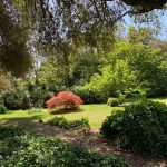 Nel 2000 il Giardino di Ninfa è stato dichiarato monumento naturale della Repubblica Italiana ed è considerato uno dei giardini più belli al mondo.