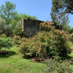 Nel 2000 il Giardino di Ninfa è stato dichiarato monumento naturale della Repubblica Italiana ed è considerato uno dei giardini più belli al mondo.