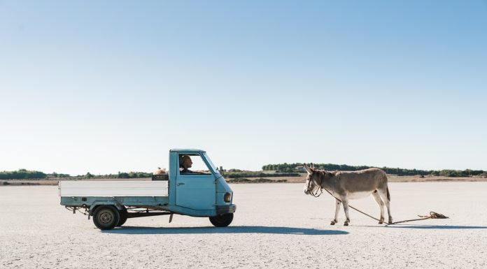 L’uomo che comprò la Luna: un omaggio alla Sardegna arcaica L’uomo che comprò la Luna: un omaggio alla Sardegna rurale e arcaica