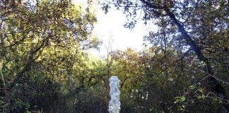 L’impetuoso divenire della Natura fra ordine e caos La chiesa di San Francesco a Cortemilia (Cuneo) e il siderale silenzio delle langhe piemontesi: ecco lo scenario di Natura naturans