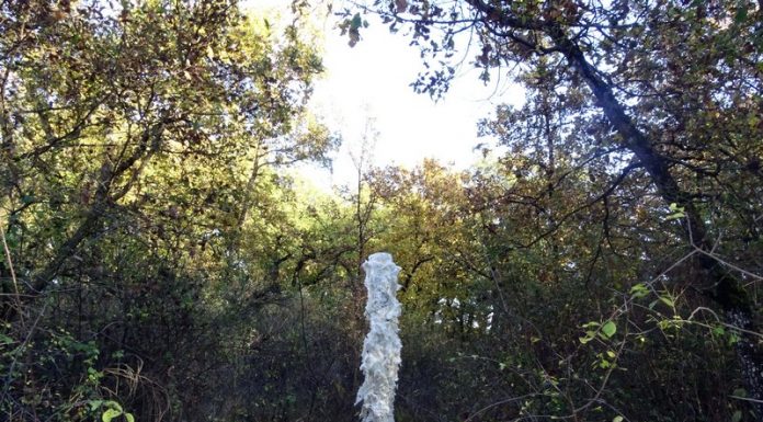L’impetuoso divenire della Natura fra ordine e caos La chiesa di San Francesco a Cortemilia (Cuneo) e il siderale silenzio delle langhe piemontesi: ecco lo scenario di Natura naturans
