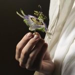 La Bellezza è “Nella mente di chi guarda” "Nella mente di chi guarda", mostra al Festival di Filosofia, fonte Instagram