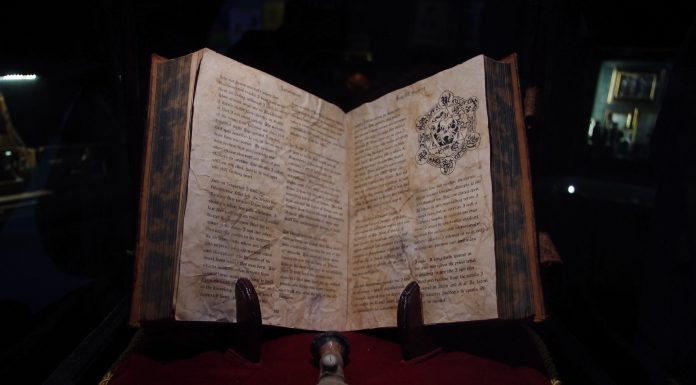 Alessandro Manzetti, horror d’esportazione