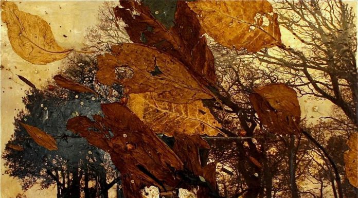 Evaristo Petrocchi, l’ultimo degli Illuministi o il primo dei Romantici?
