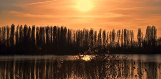 Al calar delle tenebre ritmi e suoni del Veneto letterario Itinerari per Scano Boa, lo spettacolo sul Veneto letterario