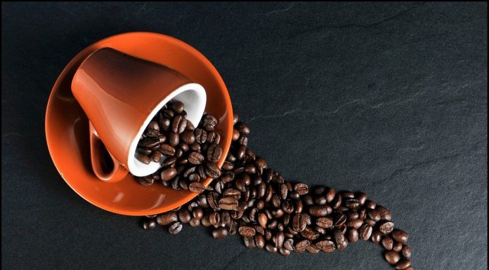Le botteghe del caffè L'intervista a Stefano Cevenini, giovane "made in Bologna"