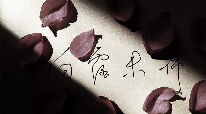 Pennellate di poesia per questa vita luce e lacrime
