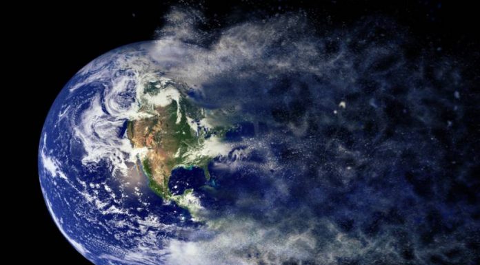La Terra è un grande organismo con le sue fasi calde/fredde