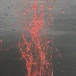 Di odore e di generazione di Daniele Gigli