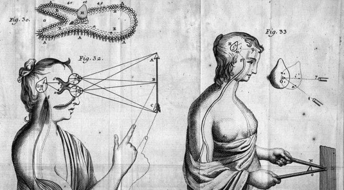 Noi siamo organi di un sistema vivente più grande