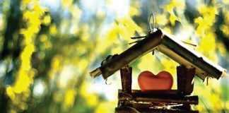 Ambiente, felicità, benessere : un mantra