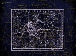 PSYCOROSCOPO di Carlo Fox