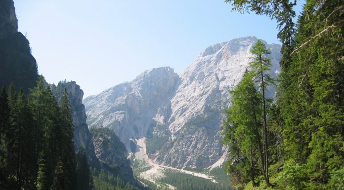 In viaggio tra storia e leggenda con “La donna di lana” di Niky Marcelli