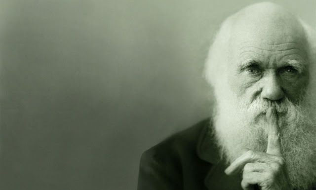 Darwin aveva ragione? (con un botta e risposta Fratus – Odifreddi)