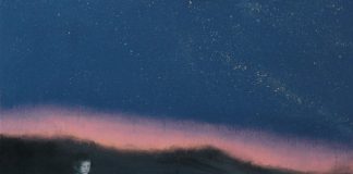 Salvo Rivolo, colore e poesia