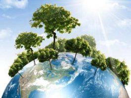 Covid, degrado ambientale e salute pubblica: SIMA al fianco dell’OCSE