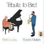 tribute