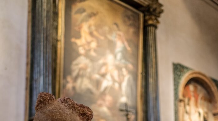 L’arte contemporanea entra nel Museo di Arte Sacra a Cossignano