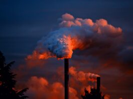SIMA: Italia primo paese in Europa per morti da inquinamento atmosferico