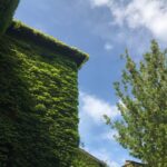 Blue and Green
