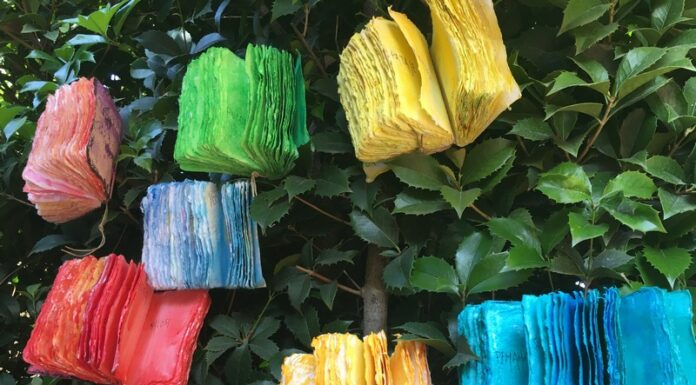 Tiziana Priori, colori vibranti su carte di pregio