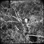 Spritual sax medium format Photo Agosto 2026