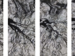 Walter Trecchi, la metamorfosi silenziosa che spazza via le trovate dell’arte contemporanea