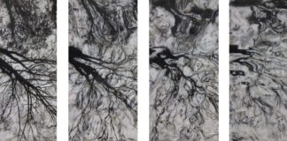 Walter Trecchi, la metamorfosi silenziosa che spazza via le trovate dell’arte contemporanea