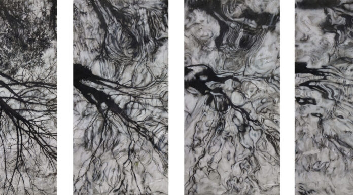 Walter Trecchi, la metamorfosi silenziosa che spazza via le trovate dell’arte contemporanea