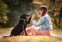 Un cane in famiglia è molto più di un amico: può diventare una presenza preziosa anche per la sicurezza