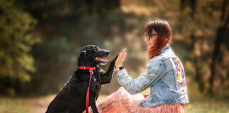 Un cane in famiglia è molto più di un amico: può diventare una presenza preziosa anche per la sicurezza
