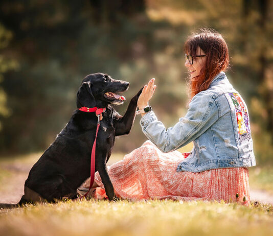 Un cane in famiglia è molto più di un amico: può diventare una presenza preziosa anche per la sicurezza